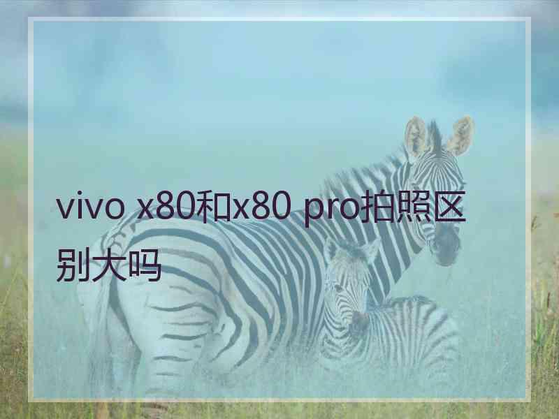 vivo x80和x80 pro拍照区别大吗