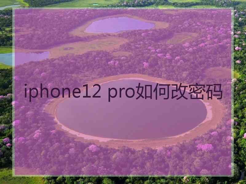 iphone12 pro如何改密码