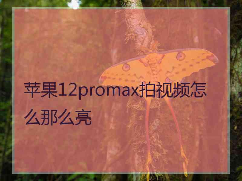 苹果12promax拍视频怎么那么亮