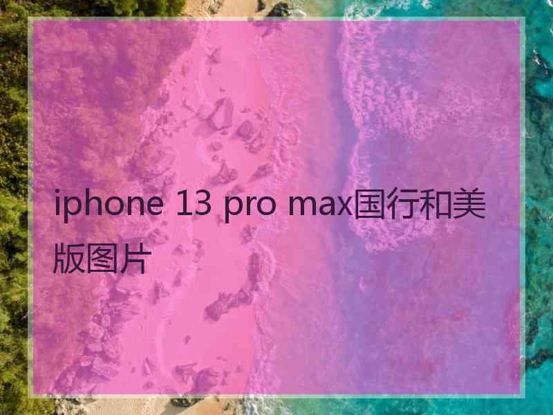 iphone 13 pro max国行和美版图片