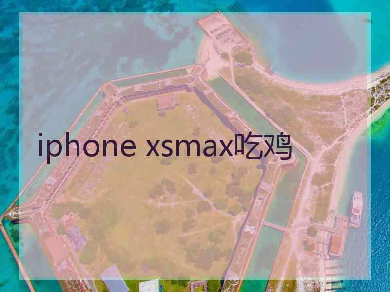 iphone xsmax吃鸡