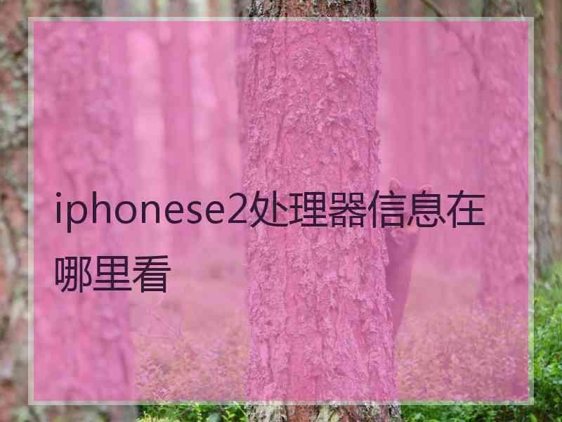 iphonese2处理器信息在哪里看