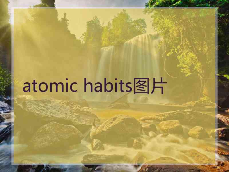 atomic habits图片