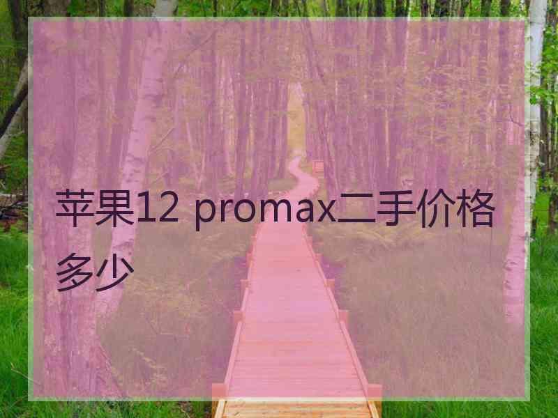 苹果12 promax二手价格多少