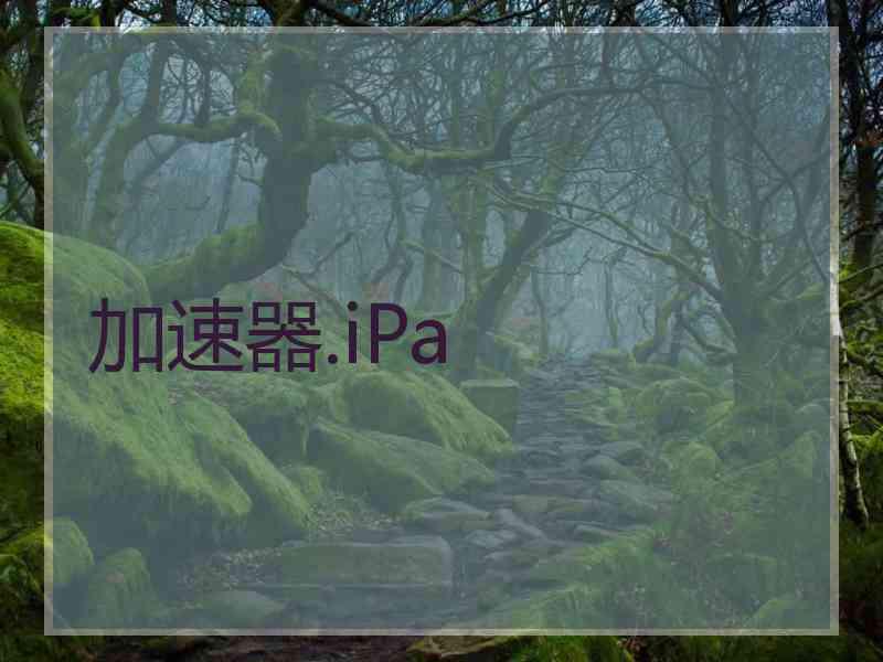 加速器.iPa