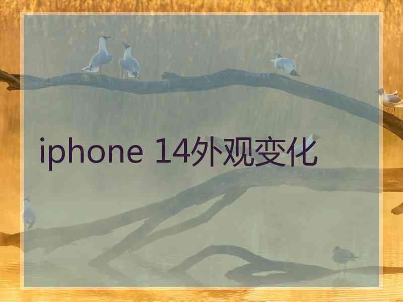 iphone 14外观变化