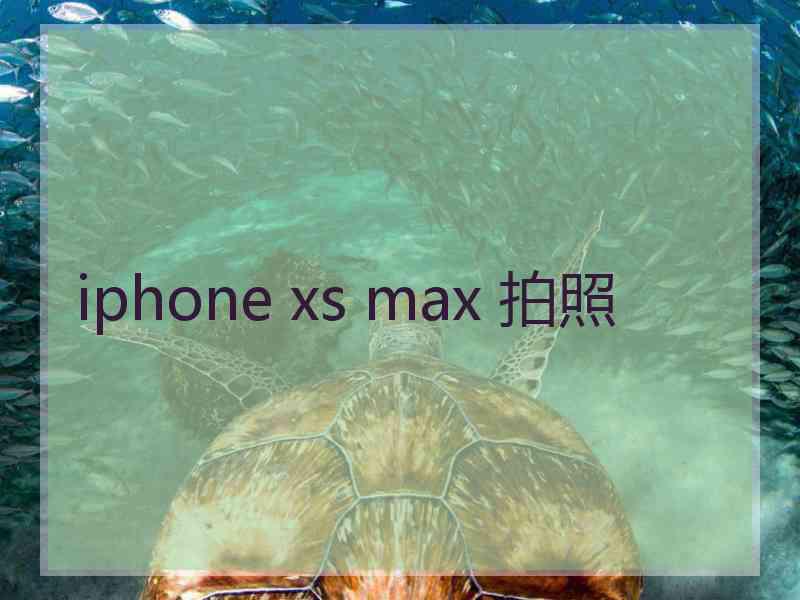 iphone xs max 拍照