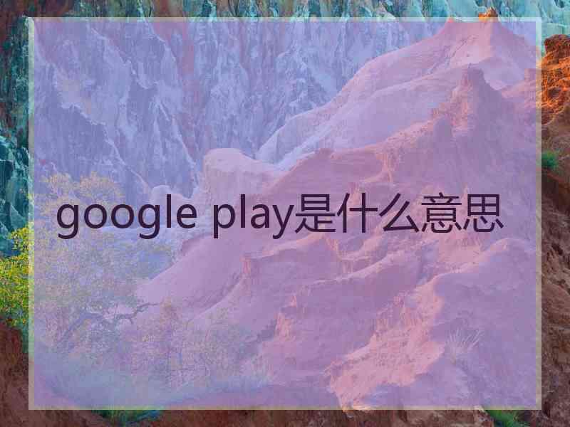 google play是什么意思