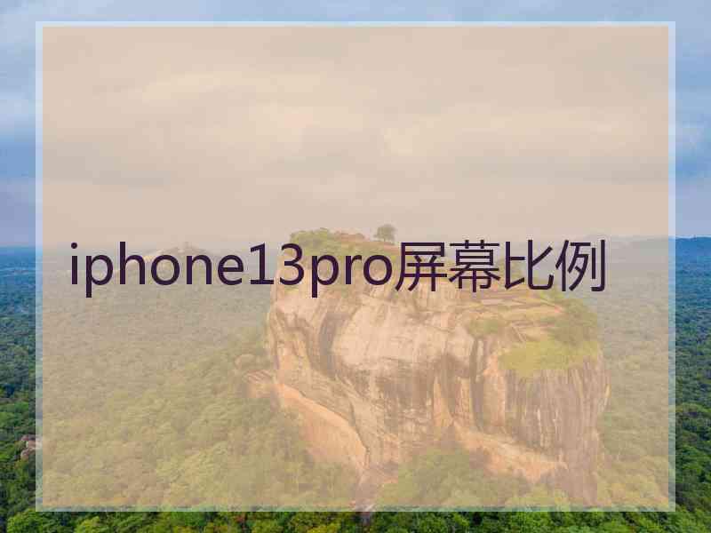 iphone13pro屏幕比例