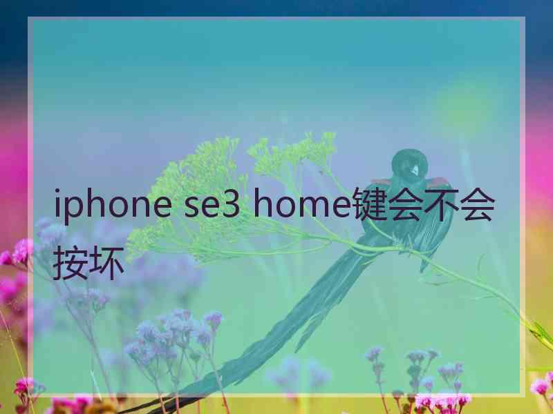 iphone se3 home键会不会按坏