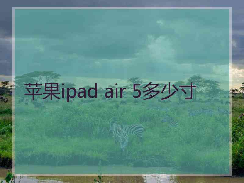 苹果ipad air 5多少寸