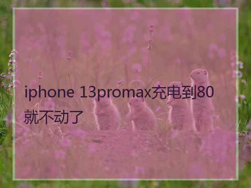 iphone 13promax充电到80就不动了