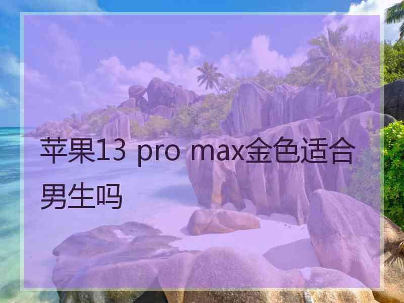 苹果13 pro max金色适合男生吗