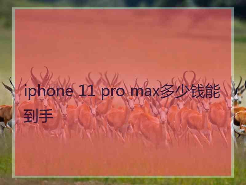 iphone 11 pro max多少钱能到手