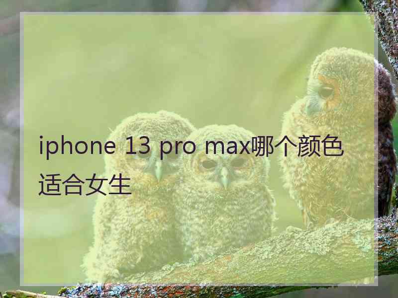 iphone 13 pro max哪个颜色适合女生