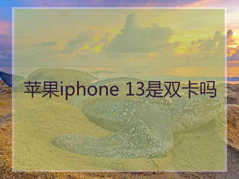 苹果iphone 13是双卡吗