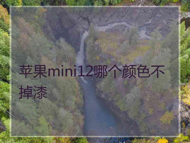 苹果mini12哪个颜色不掉漆