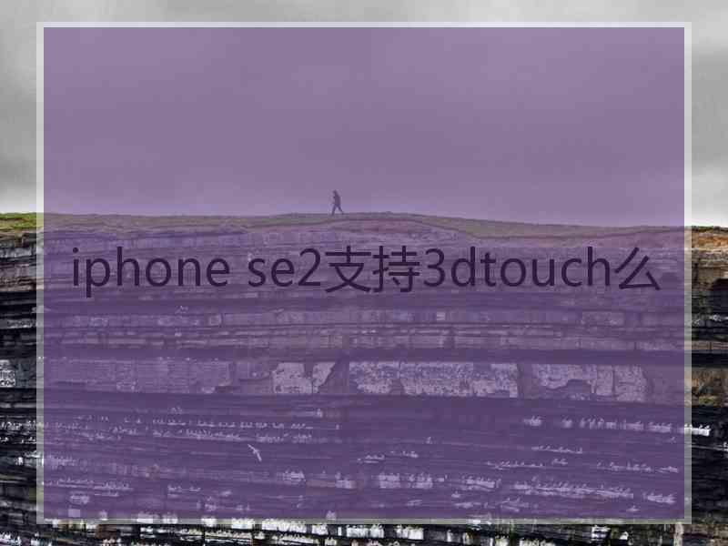 iphone se2支持3dtouch么