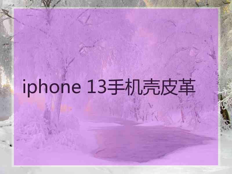 iphone 13手机壳皮革