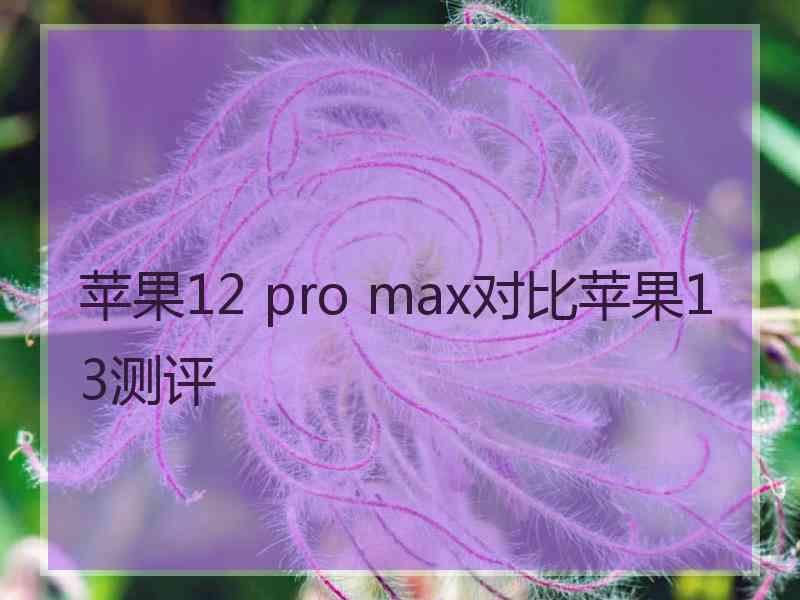 苹果12 pro max对比苹果13测评