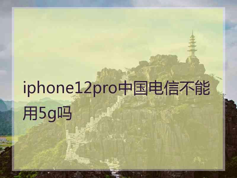 iphone12pro中国电信不能用5g吗