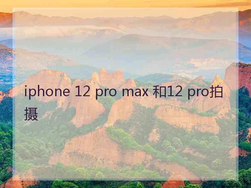 iphone 12 pro max 和12 pro拍摄