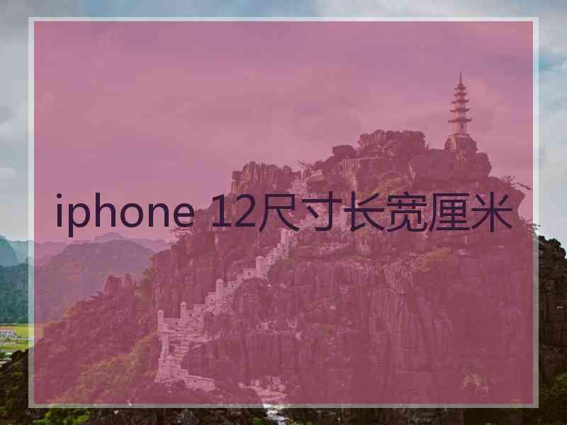 iphone 12尺寸长宽厘米