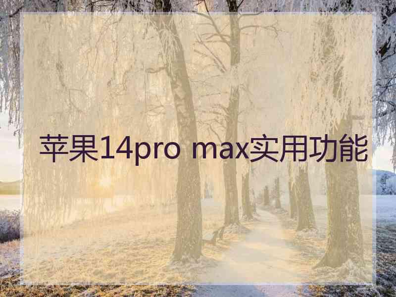 苹果14pro max实用功能