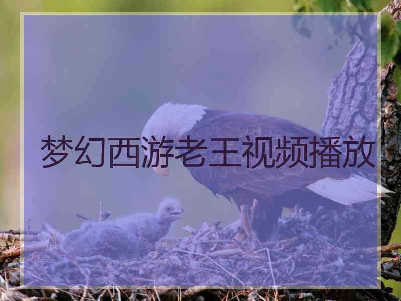 梦幻西游老王视频播放