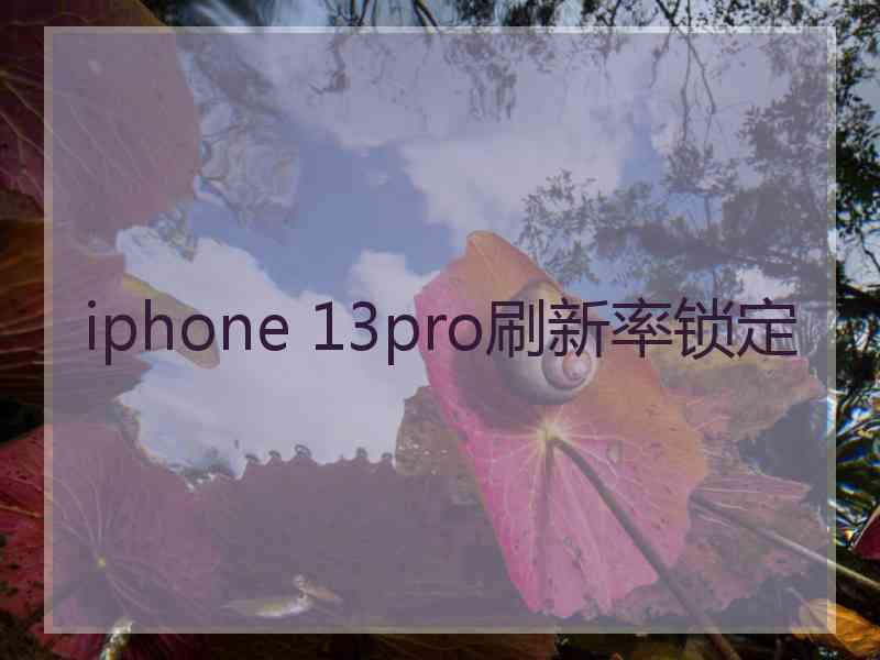 iphone 13pro刷新率锁定