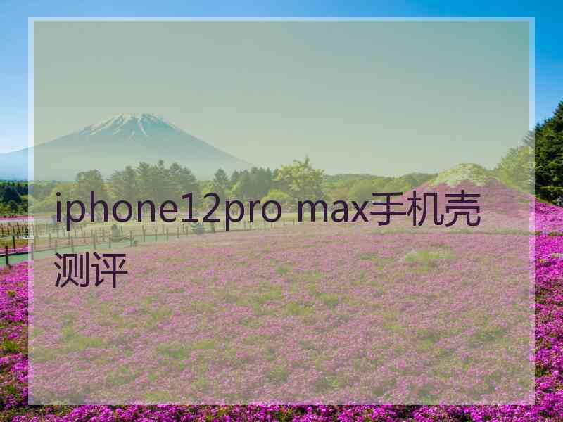 iphone12pro max手机壳测评