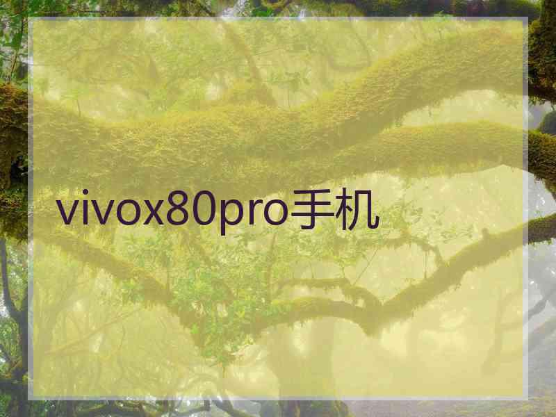 vivox80pro手机