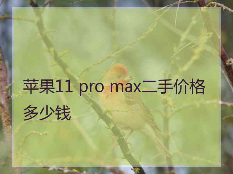 苹果11 pro max二手价格多少钱