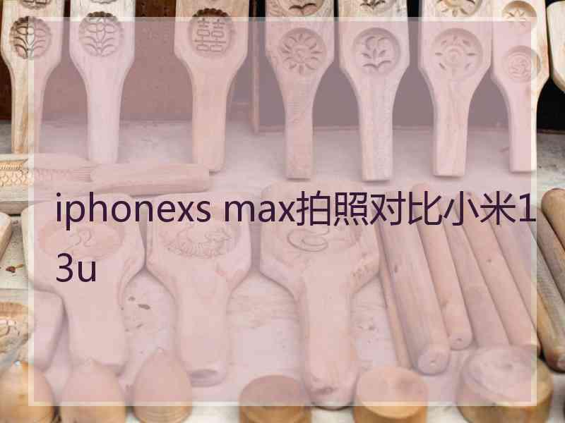 iphonexs max拍照对比小米13u