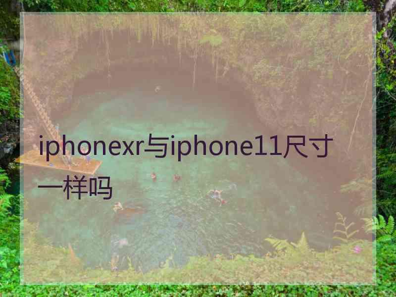 iphonexr与iphone11尺寸一样吗