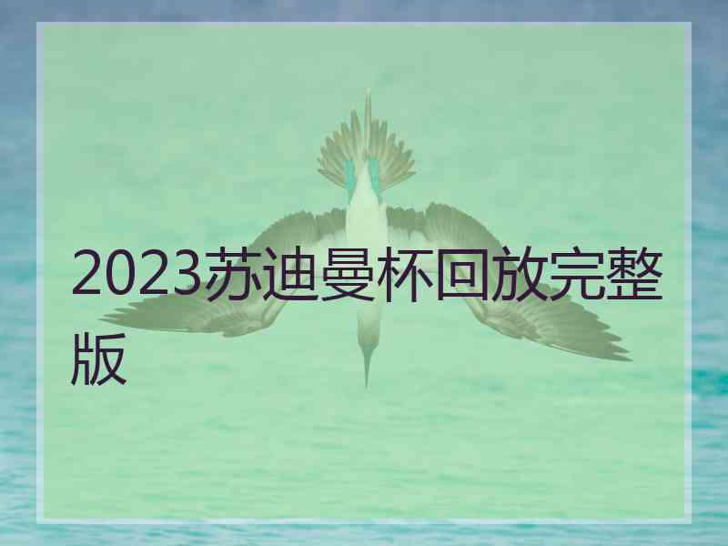 2023苏迪曼杯回放完整版