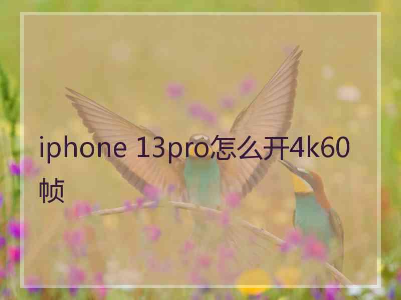 iphone 13pro怎么开4k60帧