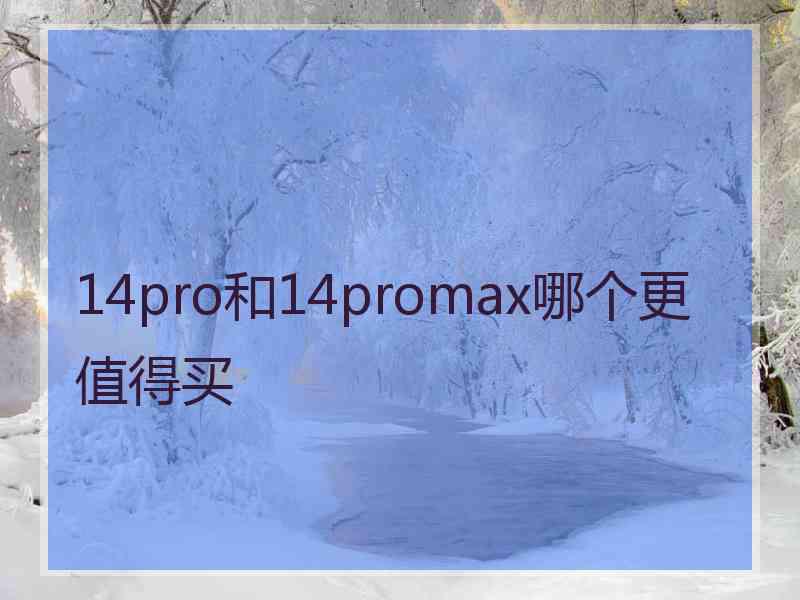 14pro和14promax哪个更值得买