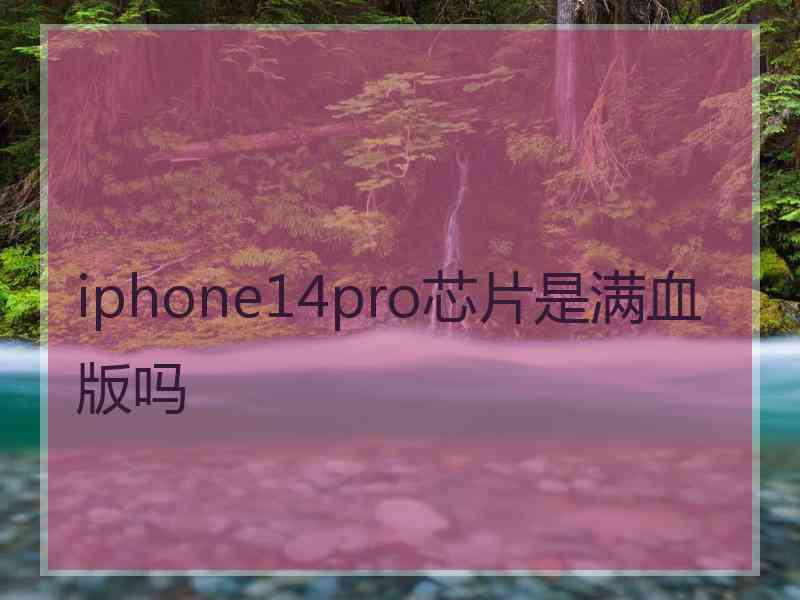 iphone14pro芯片是满血版吗