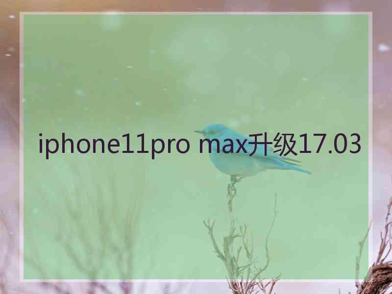 iphone11pro max升级17.03