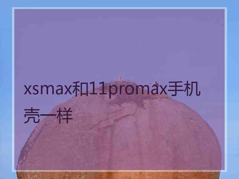 xsmax和11promax手机壳一样