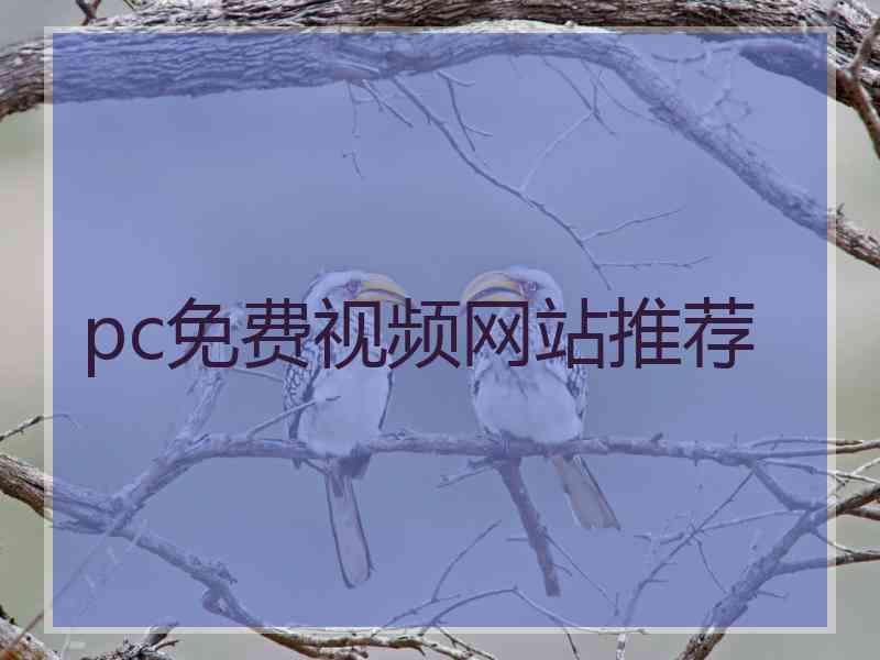 pc免费视频网站推荐