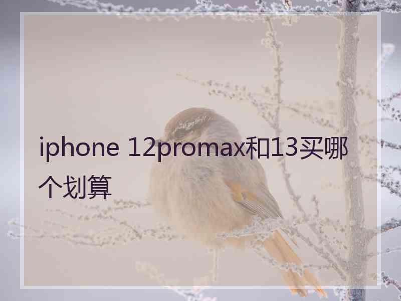 iphone 12promax和13买哪个划算