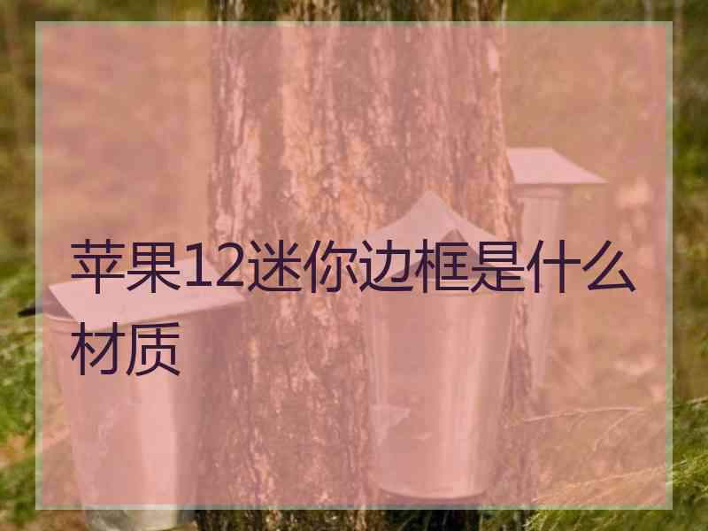 苹果12迷你边框是什么材质