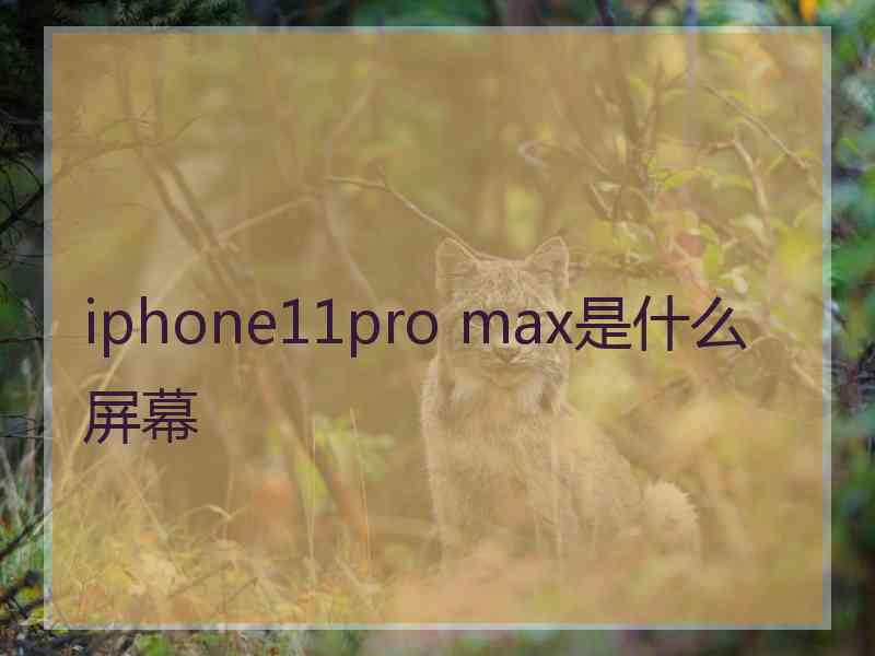 iphone11pro max是什么屏幕