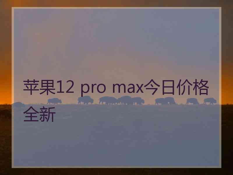 苹果12 pro max今日价格全新