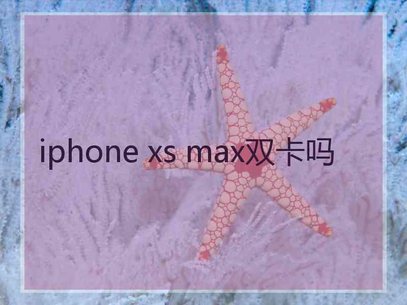 iphone xs max双卡吗