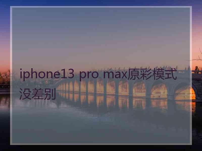 iphone13 pro max原彩模式没差别