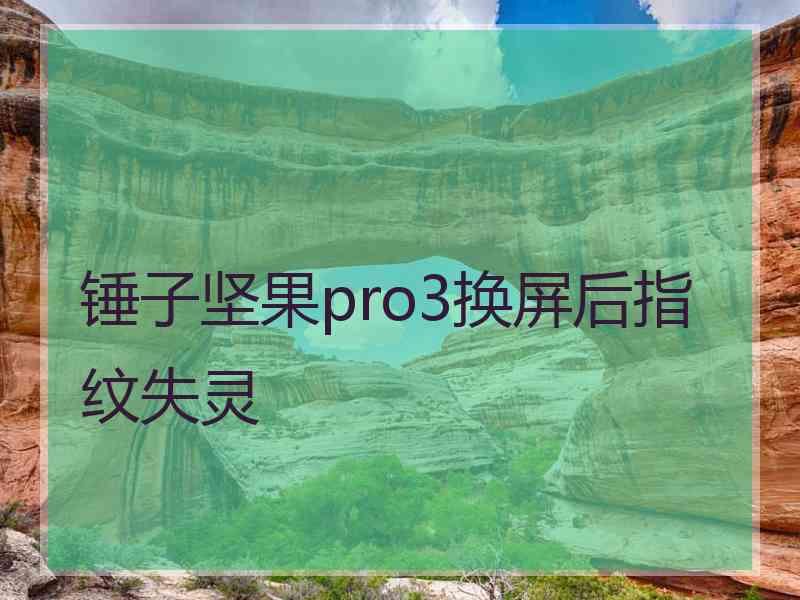 锤子坚果pro3换屏后指纹失灵