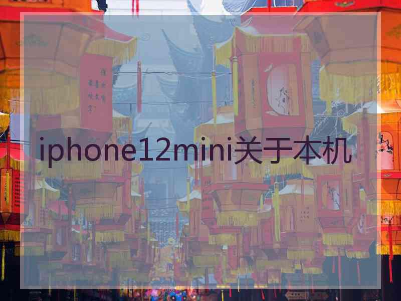 iphone12mini关于本机